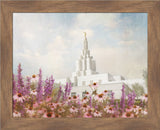 Idaho Falls Temple- Purple Flower