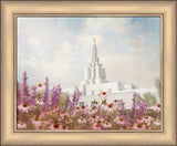 Idaho Falls Temple- Purple Flower