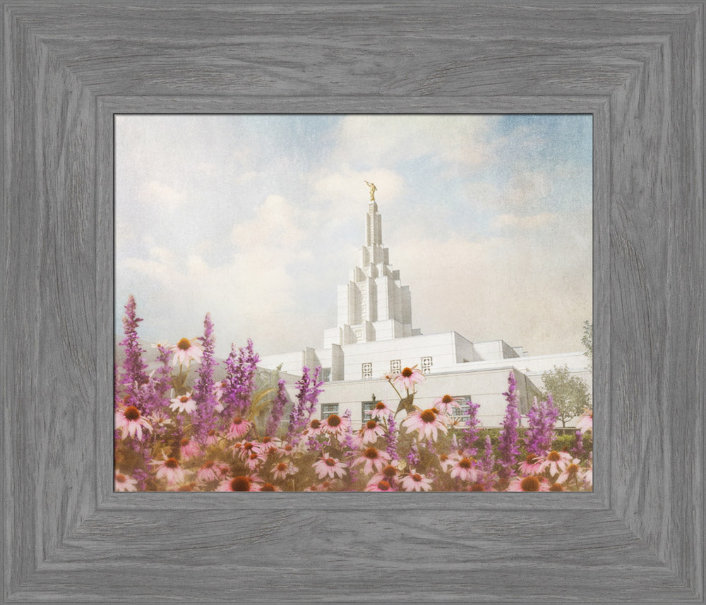 Idaho Falls Temple- Purple Flower