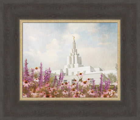 Idaho Falls Temple- Purple Flower