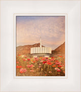 Provo Utah Temple - Flowers by Mandy Jane Williams