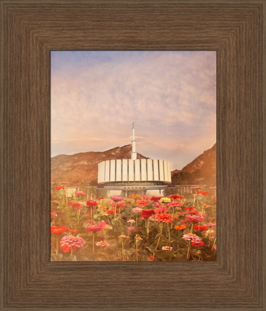 Provo Utah Temple - Flowers by Mandy Jane Williams