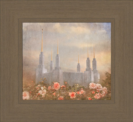 Washington DC Temple - American Rose by Mandy Jane Williams