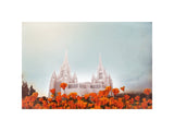 San Diego Temple- All Things Bright & Beautiful