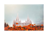 San Diego Temple- All Things Bright & Beautiful