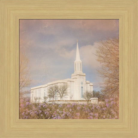 St. Louis Temple - Bluebells