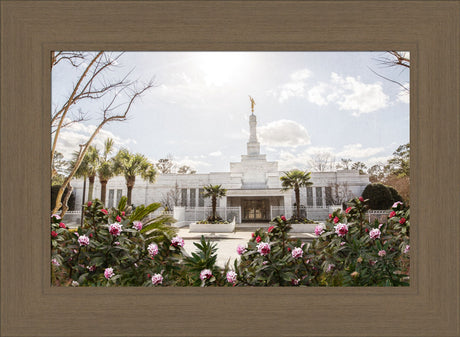 Columbia South Carolina Temple- Increased Faith