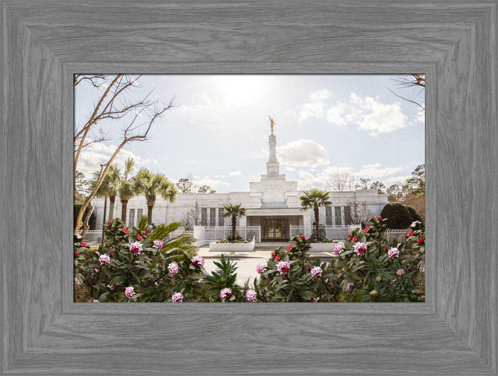 Columbia South Carolina Temple- Increased Faith