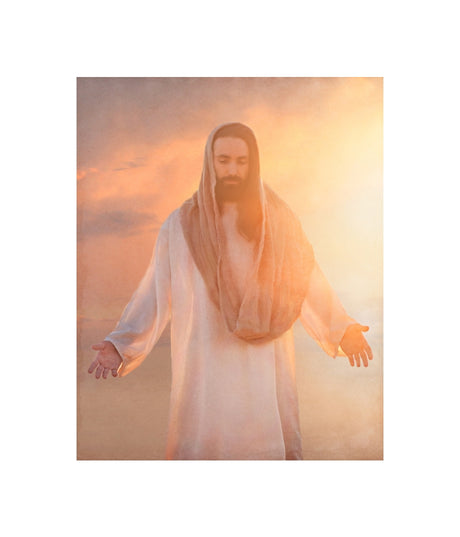 Christ Light & Life