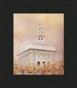 Nauvoo Temple - Vision by Mandy Jane Williams
