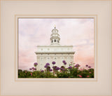 Nauvoo Temple- Allium