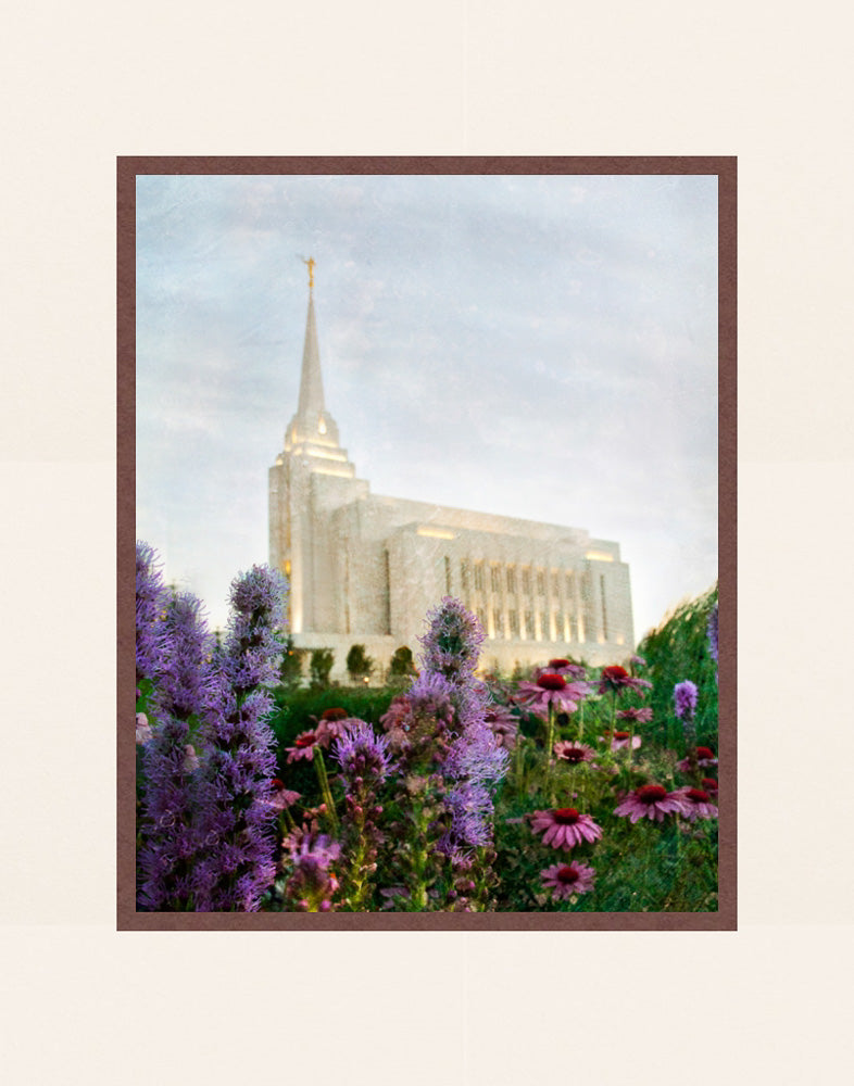 Rexburg Temple: Summer Flowers