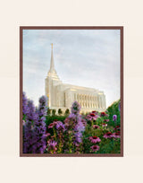 Rexburg Temple: Summer Flowers