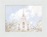 Kansas City Temple- Divine Light