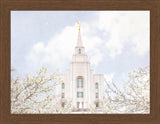 Kansas City Temple- Divine Light