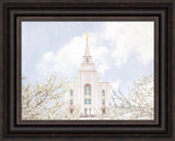 Kansas City Temple- Divine Light