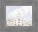 Kansas City Temple- Divine Light