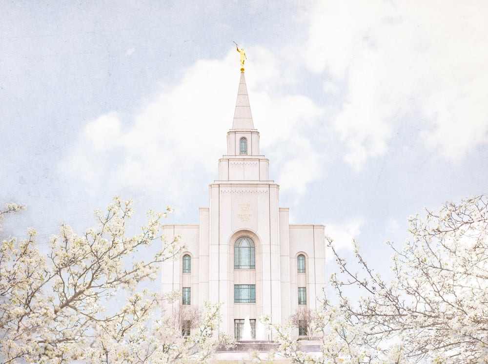 The Kansas City Missouri Temple surrounded by white blossoms on the trees.