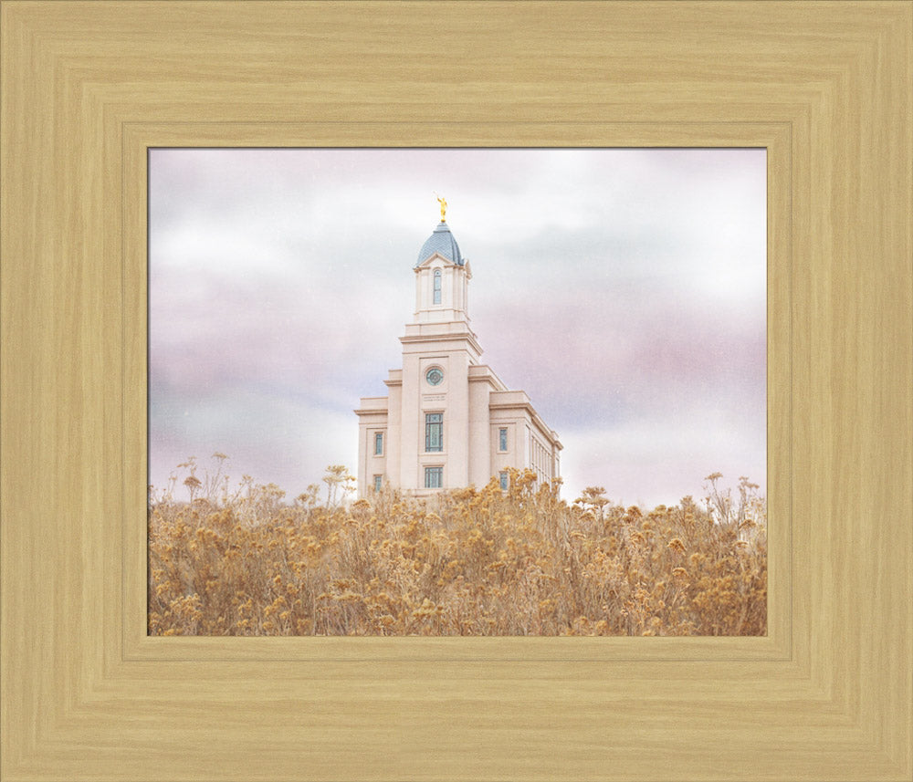 Cedar City Temple - Light On the Hill by Mandy Jane Williams