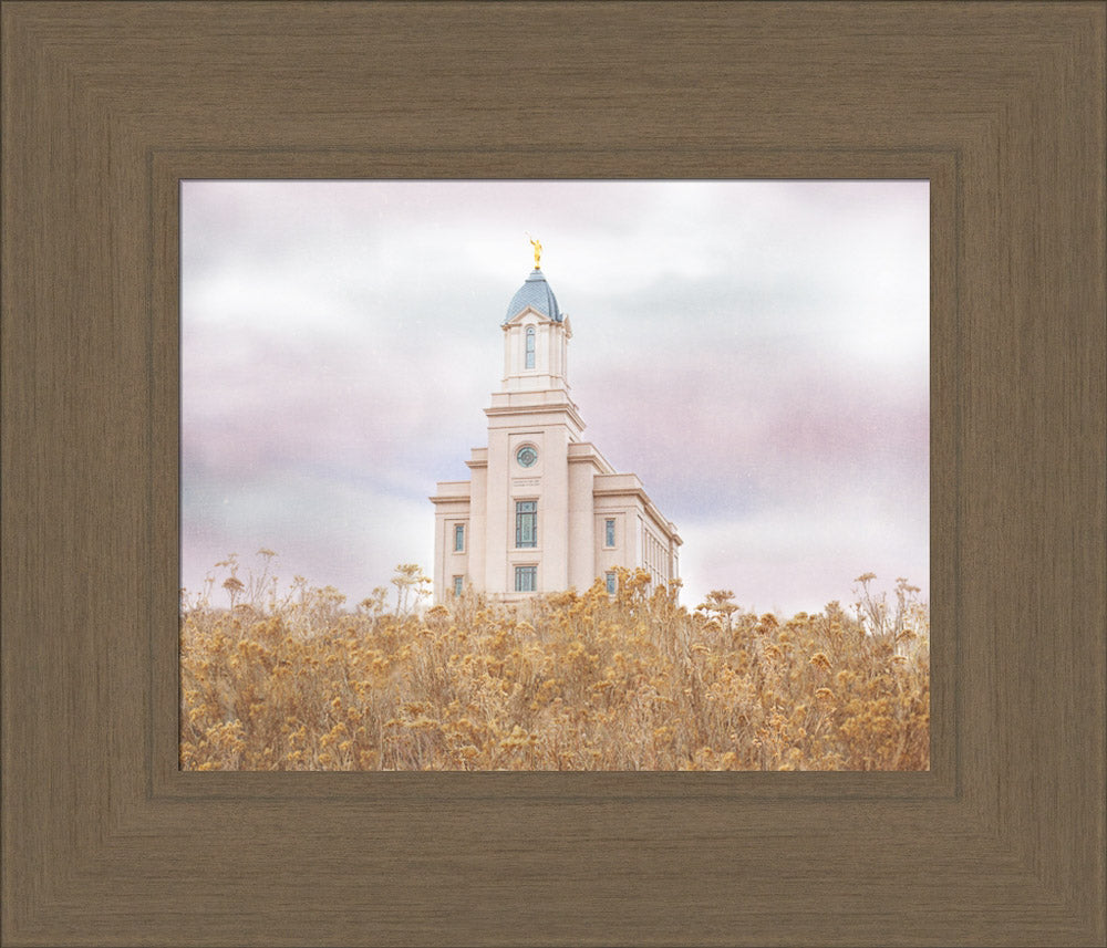 Cedar City Temple - Light On the Hill by Mandy Jane Williams