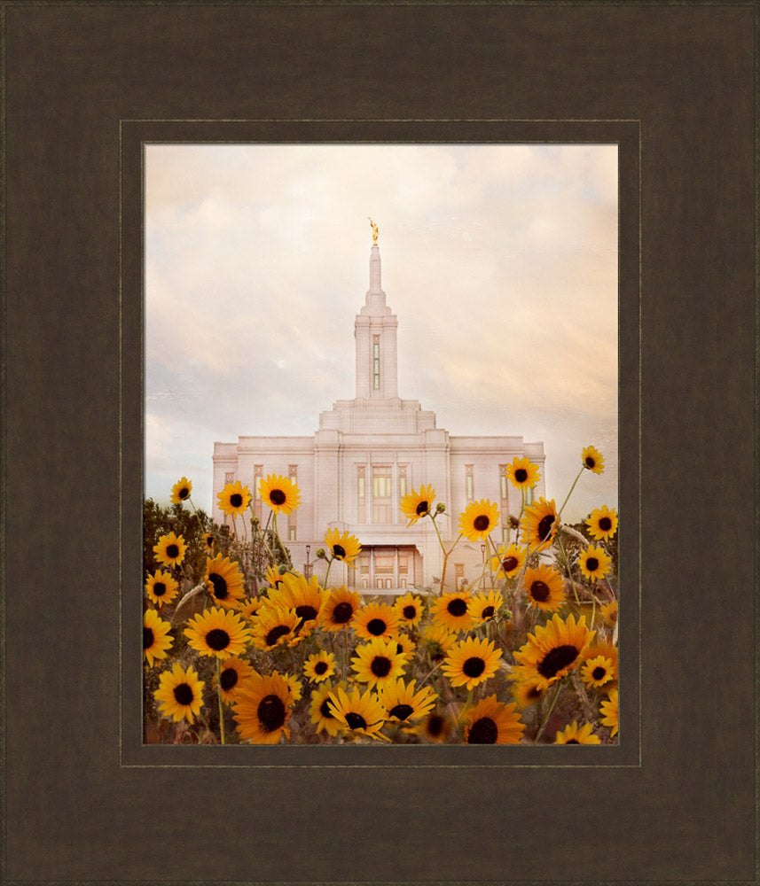 Pocatello Temple - Wild Sunflowers by Mandy Jane Williams