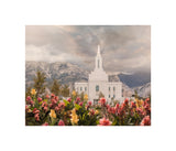 Orem Temple-Mountain Majesty