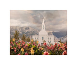 Orem Temple-Mountain Majesty