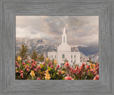 Orem Temple-Mountain Majesty