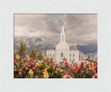 Orem Temple-Mountain Majesty