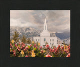 Orem Temple-Mountain Majesty