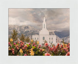 Orem Temple-Mountain Majesty