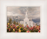 Orem Temple-Mountain Majesty