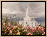 Orem Temple-Mountain Majesty