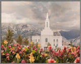 Orem Temple-Mountain Majesty