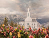 The Orem Utah Temple with mountains and flowers.