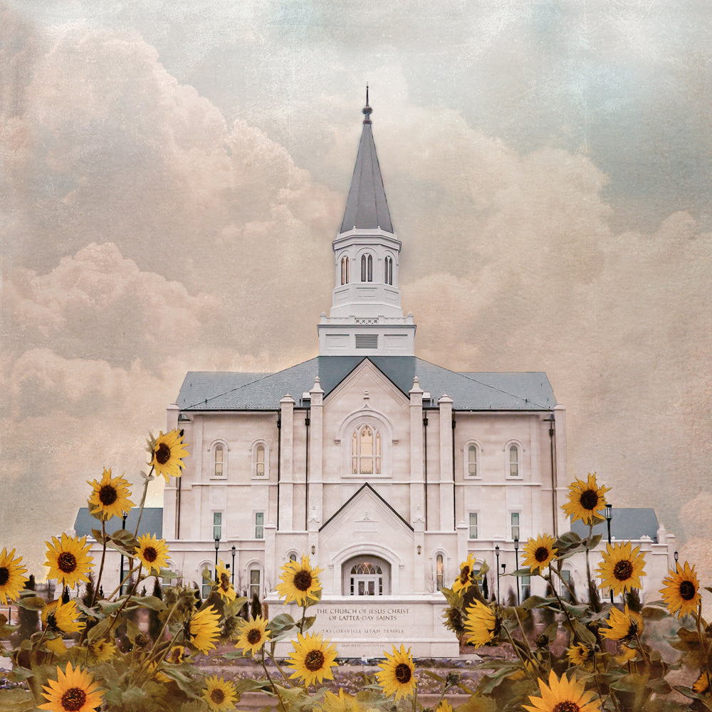 Taylorsville Utah Temple- Wild Sunflowers - 9x9 giclee paper print