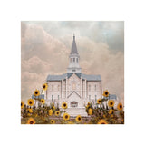 Taylorsville Utah Temple- Wild Sunflowers