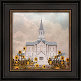 Taylorsville Utah Temple- Wild Sunflowers