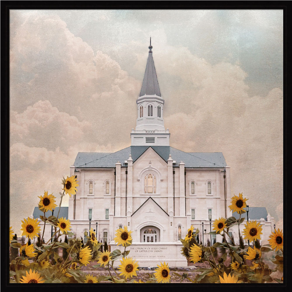 Taylorsville Utah Temple- Wild Sunflowers - framed giclee canvas