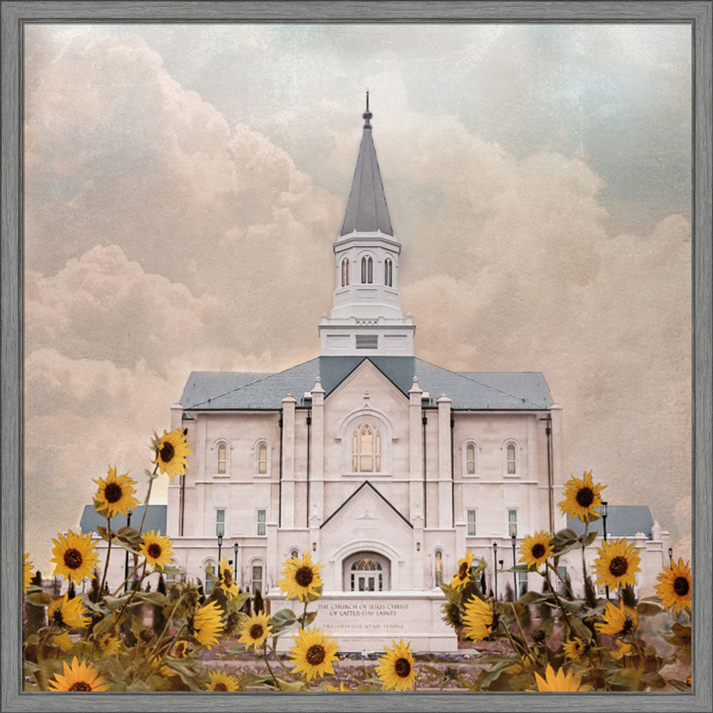 Taylorsville Utah Temple- Wild Sunflowers