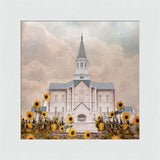 Taylorsville Utah Temple- Wild Sunflowers