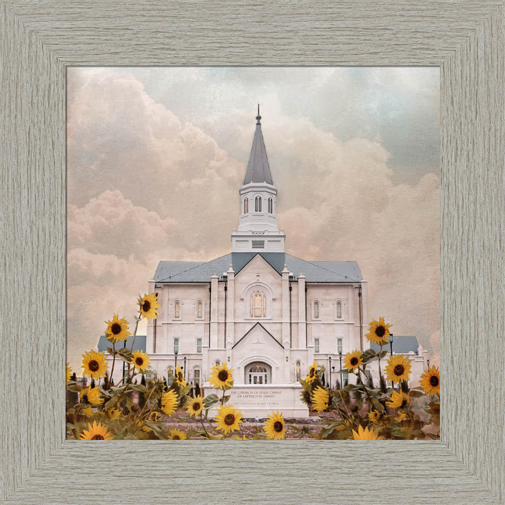 Taylorsville Utah Temple- Wild Sunflowers