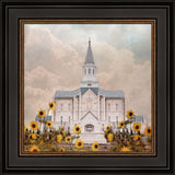 Taylorsville Utah Temple- Wild Sunflowers