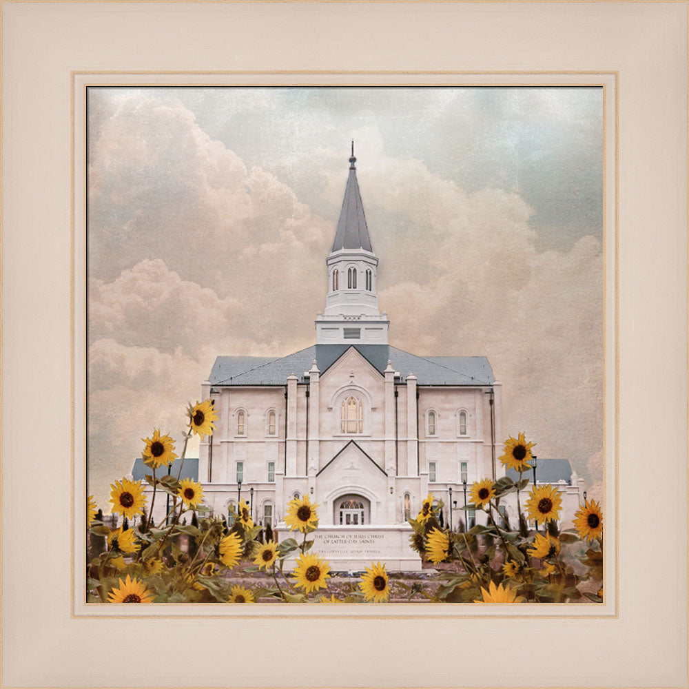 Taylorsville Utah Temple- Wild Sunflowers