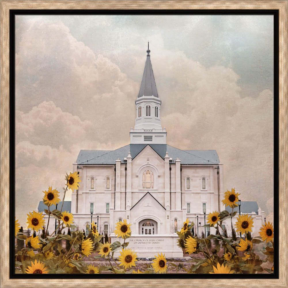 Taylorsville Utah Temple- Wild Sunflowers