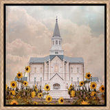 Taylorsville Utah Temple- Wild Sunflowers