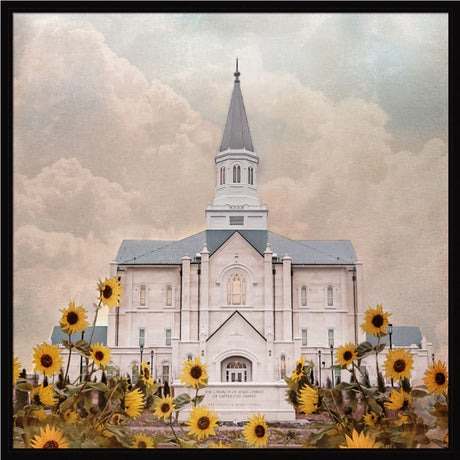 Taylorsville Utah Temple- Wild Sunflowers