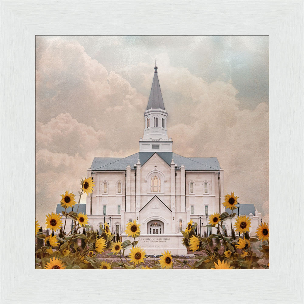 Taylorsville Utah Temple- Wild Sunflowers - framed giclee canvas