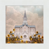 Taylorsville Utah Temple- Wild Sunflowers