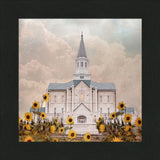 Taylorsville Utah Temple- Wild Sunflowers